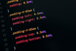 CSS - WpScriptly
