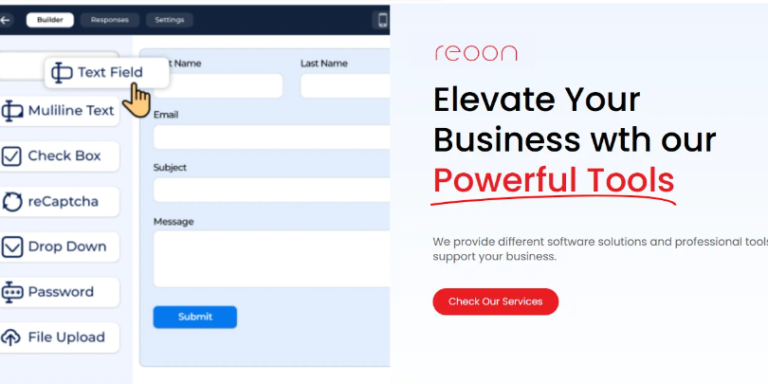 BitForms & Reoon Email Verification Plugin Stop Spammer In There Tracks